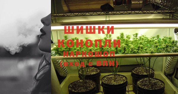 дживик Карпинск