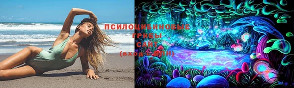 дживик Карпинск