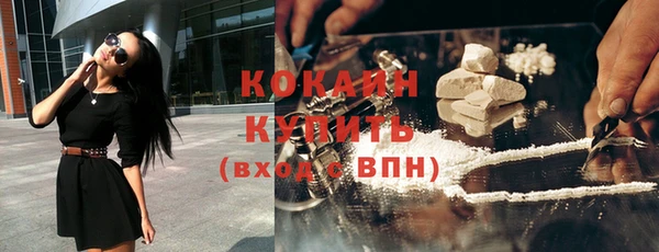 дживик Карпинск