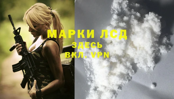 шишки Карталы