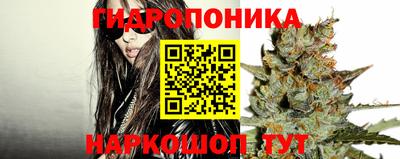 метадон Можга